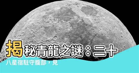 青龍、二十八星宿、腹部